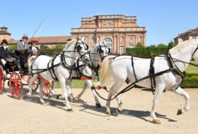 Cavalli e carrozze da fiaba a La Venaria Reale