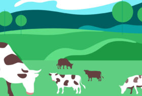 Tutti d’accordo sull’obiettivo di elevare i livelli di benessere degli animali