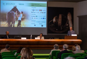 Pisa, verso una messa a sistema del mondo del cavallo