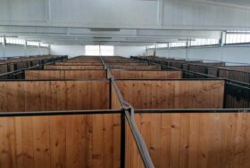 SCUDERIA DEGLI ULIVI, un passo avanti importante