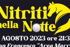 A Tuscania gli artisti che fanno sognare il pubblico di tutta Europa: martedì 8 agosto appuntamento con “Nitriti nella Notte”, il gala equestre della Città di Tuscania firmato da Nico Belloni, evento show tra spettacolo equestre e teatro per il 2023 con i Guinness World Record