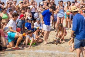 Reintrodotte in mare le tartarughe marine salvate dal CRTM