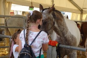 Fiera di Sant’Alessandro a Bergamo dal 1 al 3 settembre entri gratis con la TESSERA PREMIUM, PREMIUM BUSINESS e VIP