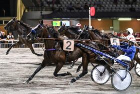 Ippodromo Cesena Trotto: presentazione corse di martedì 29 agosto