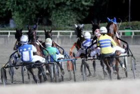 Ippodromo Cesena Trotto: presentazione delle corse di venerdì 11 agosto