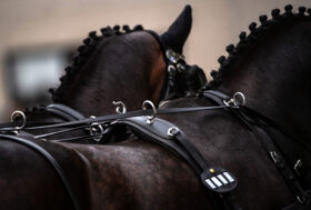 Le prove degli azzurri all’Europeo di attacchi e al Mondiale di Para Driving di Exloo