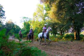 Materazzi a segno a Jullianges