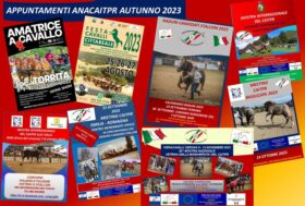 ANACAITPR: Un autunno 2023 con un calendario ricco di eventi