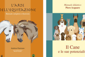 Cerchi un libro da leggere in vacanza? ecco cosa ti suggerisce il Portale del Cavallo