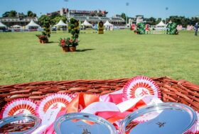 L’Europeo ‘Live’ In TV e in streaming