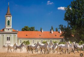 Attacchi: una buona trasferta!