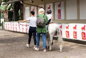 All’Ippodromo SNAI San Siro domenica di sole su Milano