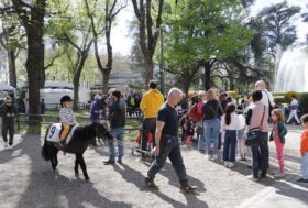 All’ippodromo SNAI San Siro, al via la seconda parte della stagione di galoppo