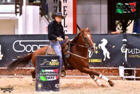 National Championships Barrel Racing e Pole Bending