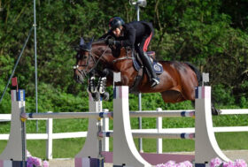 Casadei a segno a Gorla Minore