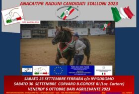 ANACAITPR. Raduni candidati Stalloni