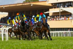 La filiera del cavallo: un volano per lo sviluppo della Sardegna