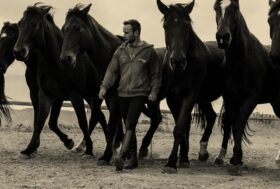 Storie di amore per la biodiversità