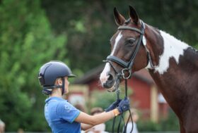 Inizia domani a Montelibretti l’Europeo Juniores e Young Riders di Concorso Completo