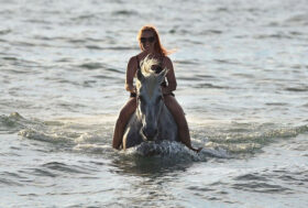 Vivere il cavallo al mare