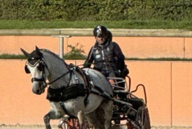 Quarto posto di Cividini nel Mondiale giovani cavalli