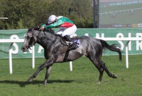 Il Gran Criterium a Wintertraum e il Dormello a Folgaria nella spettacolare domenica all’Ippodromo SNAI San Siro