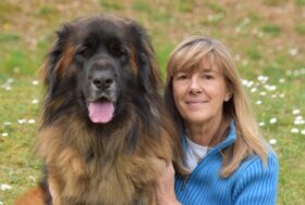 Donna azzannata da un Pitbull – Le riflessioni di Diana Lanciotti, fondatrice del Fondo Amici di Paco