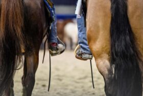 Non perderti la 125ª edizione di Fieracavalli a Verona dal 9 al 12 novembre 2023