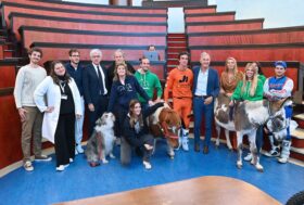 Una medicina a quattro zampe: le attività con animali che contribuiscono al benessere psicofisico dei pazienti di Neuropsichiatria Infantile