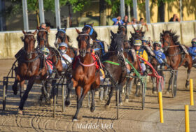 Arcoveggio: presentazione delle corse di giovedì 21 marzo