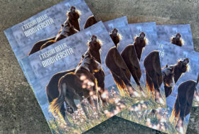 I TESORI DELLA BIODIVERSITÀ, il nuovo libro di Marta Fusetti e Annalisa Parisi a Fieracavalli