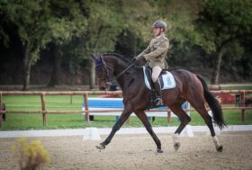 A Montelibretti concluse due giornate dedicate al Dressage