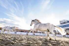 Fieracavalli, al via domani a Veronafiere la 125^ edizione con il ministro Lollobrigida