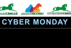 La Promo Termina lunedì 27 Novembre – 15% EXTRA SCONTO su tutti i prodotti