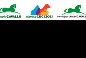 BLACK FRIDAY 15% EXTRASCONTO su tutti i prodotti fino a Lunedì 27 usa il codice BF2023 o la tua Tessera Premium