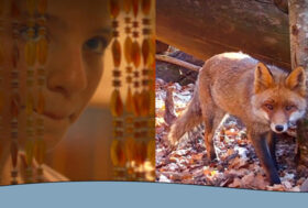 Il cortometraggio EVEN TIDE vince il Premio speciale della giuria al Torino Film Festival 2023