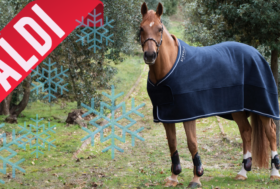 Il Freddo non demorde? Approfitta dei Prezzi TOP sulle Coperte per cavalli