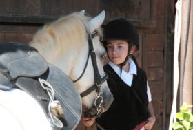 “Scuole in Sella” è il Progetto promosso  dal Comitato FISE Lombardia, in collaborazione con i Centri Ippici Lombardi