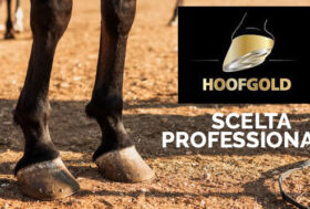 SALDI: 12% Extra Sconto con Tessera Premium e 10% Extra Sconto per tutti codice SALDI24