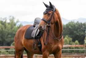 Ultimi Giorni Super Saldi. Approfittane anche sulle Novità che ti Presentiamo Oggi