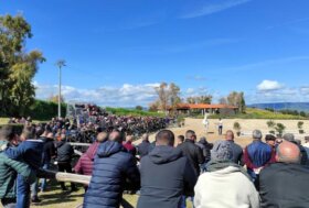 Ippica e allevamento: 300 allevatori alla presentazione stalloni Su Padru, il centro di riproduzione Asvi