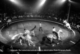 Ecoplus, non solo cavalli: Il circo equestre… che allegria!!!