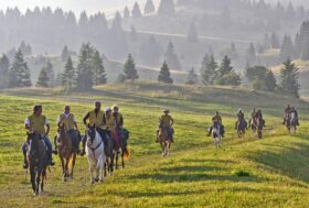 Federparchi e Natura a Cavallo: si parte dai Colli Euganei il 16 e 17 marzo
