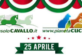 Ti Regaliamo Sconti fino a 30€ 💲 Usa Subito i Buoni Sconto su ciò che vuoi…