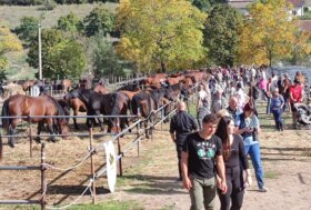 Nel week-end la seconda edizione primaverile di Cantiano Fiera Cavalli