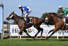 Capannelle – Domenica: Italian Guineas Day, con il Parioli e il Regina Elena