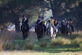 Pisa, hub del cavallo nel segno della Horse Green Experience