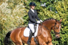 Tempo di Concorsi? Scopri le nostre Proposte