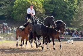 La seconda edizione di primavera conferma Cantiano Fiera Cavalli tra gli eventi top del mondo equestre italiano