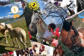 Di Paola, Presidente Fise: “Italia prima nazione ad aver riconosciuto il cavallo come atleta, lavoriamo per estendere la normativa a tutta l’Ue”